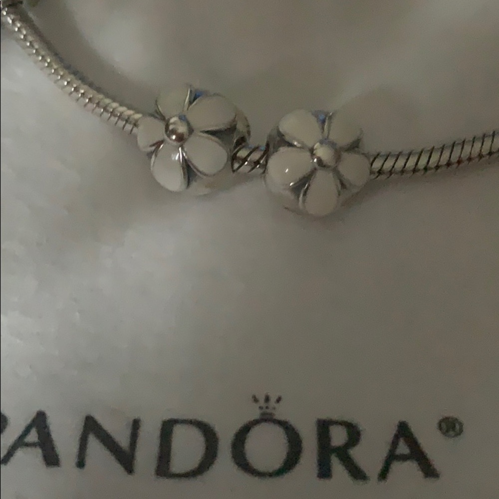 Authentic Pandora Daisy Clips  Set 791259EN12